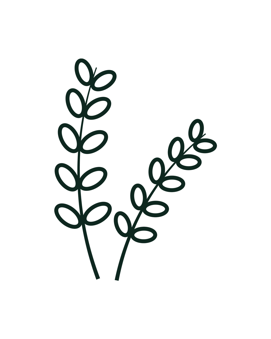 Edu Agrowisata Icon